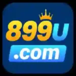 899U Game
